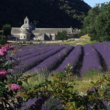 Villa La Calvinette Pernes-les-Fontaines Exterior foto