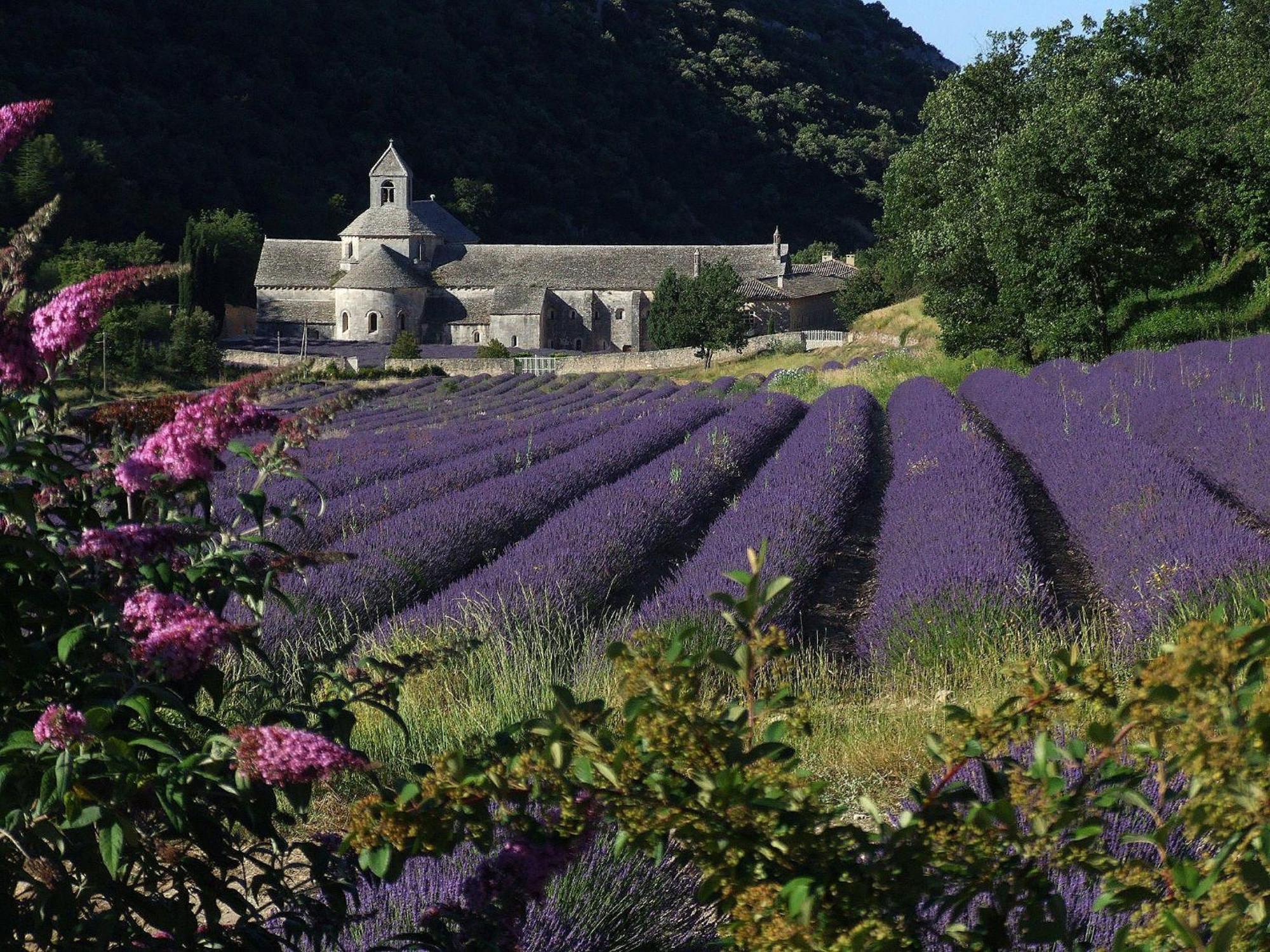 Villa La Calvinette Pernes-les-Fontaines Exterior foto